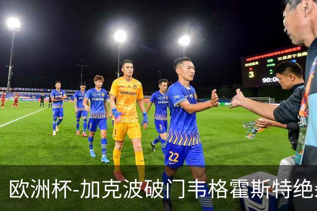 欧洲杯-加克波破门韦格霍斯特绝杀 荷兰2-1波兰